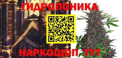 дмт Берёзовский