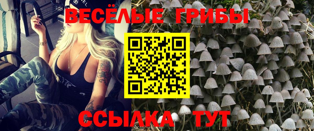 Псилоцибиновые грибы мухоморы Жуковский