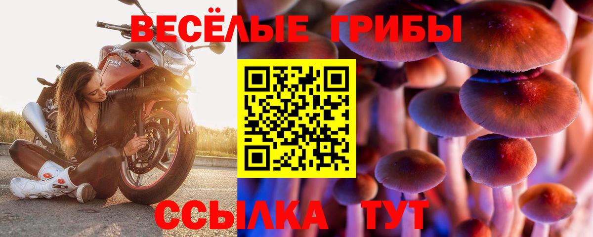 Галлюциногенные грибы Cubensis  Вход с VPN  Псилоцибиновые грибы GOLDEN TEACHER  цены   Жуковский 